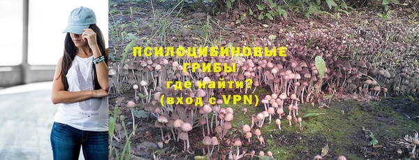 Альфа ПВП Осташков