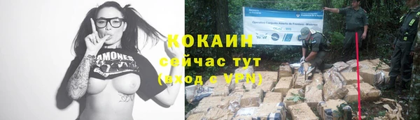 гашик Осинники