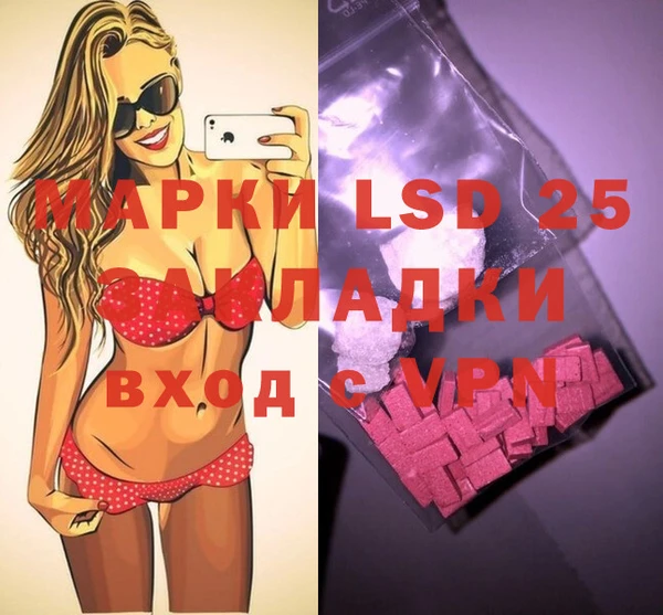 гашик Осинники