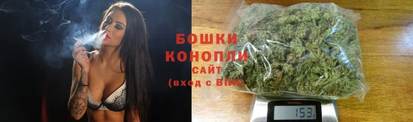 Альфа ПВП Осташков