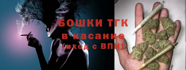 молекула духа Краснослободск
