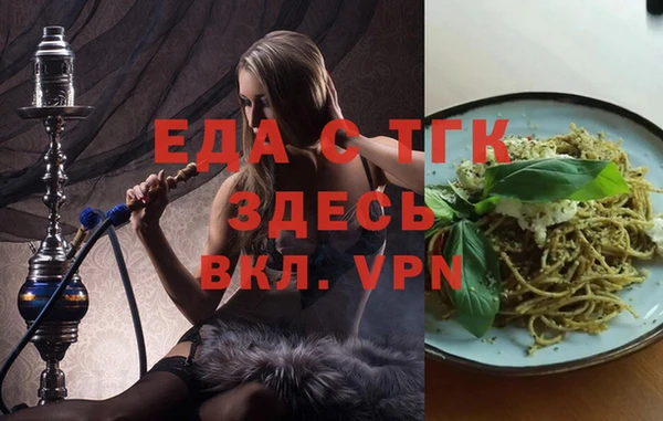 гашик Осинники